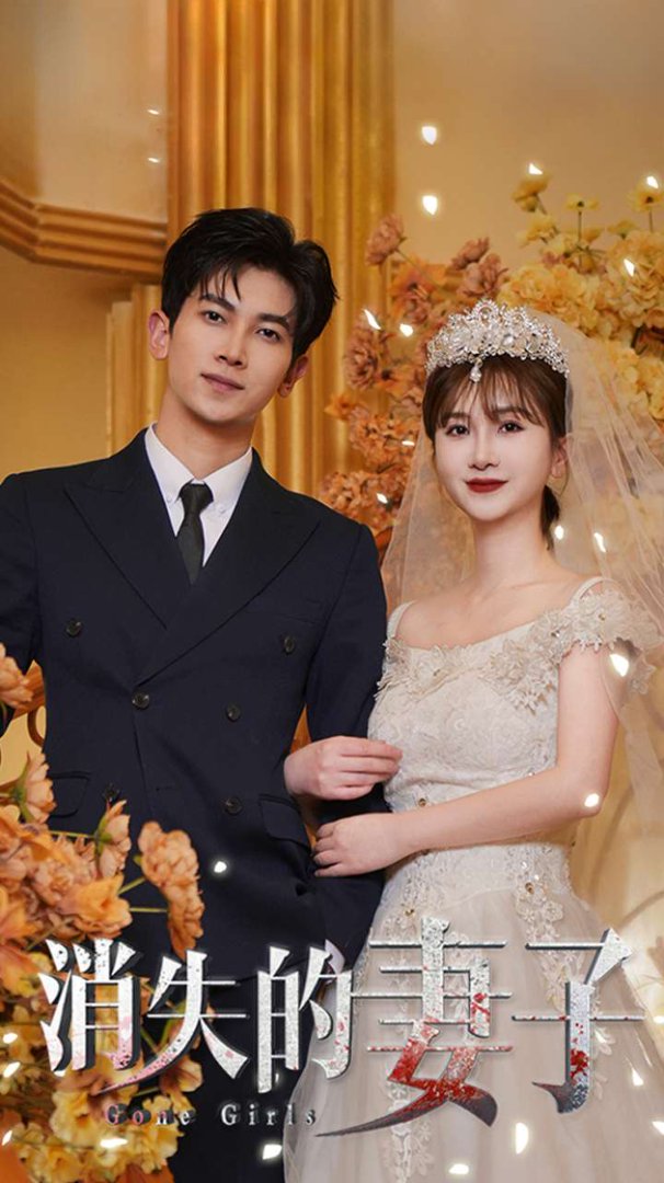 新:消失的妻子封面图