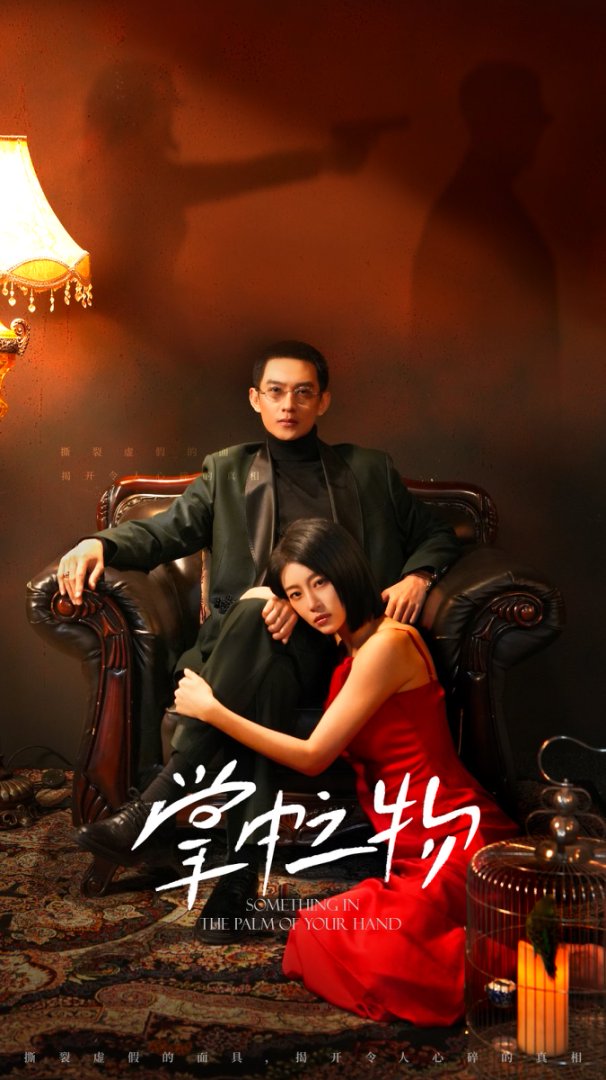 掌中之物封面图