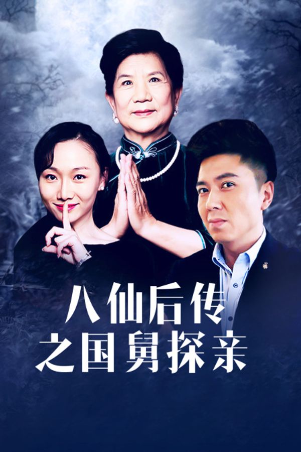 八仙后传之国舅探亲封面图
