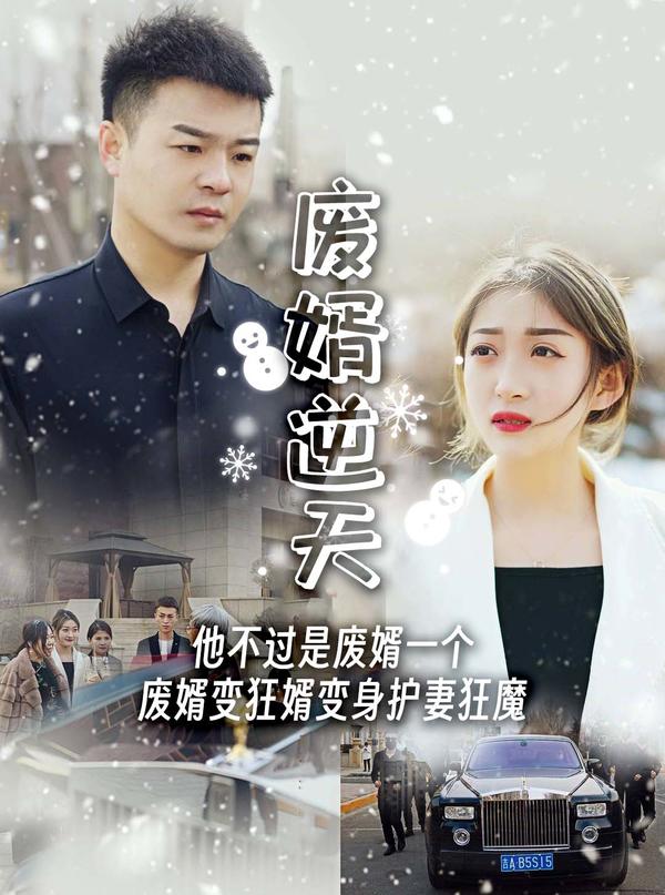 废婿逆天封面图