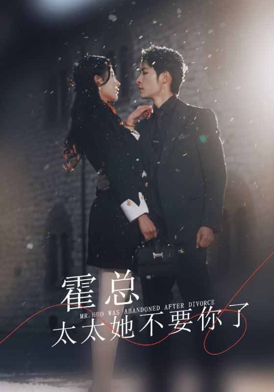 霍总太太她不要你了封面图