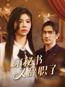 宋秘书又辞职了封面图