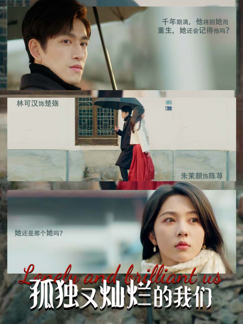 孤独又灿烂的我们封面图