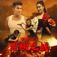 缅北反诈终极之战封面图