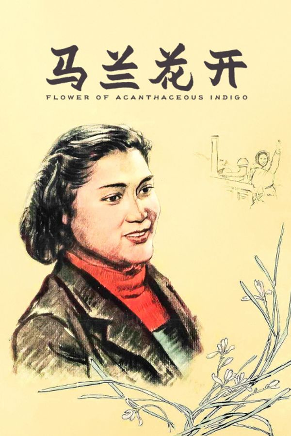 马兰花开封面图