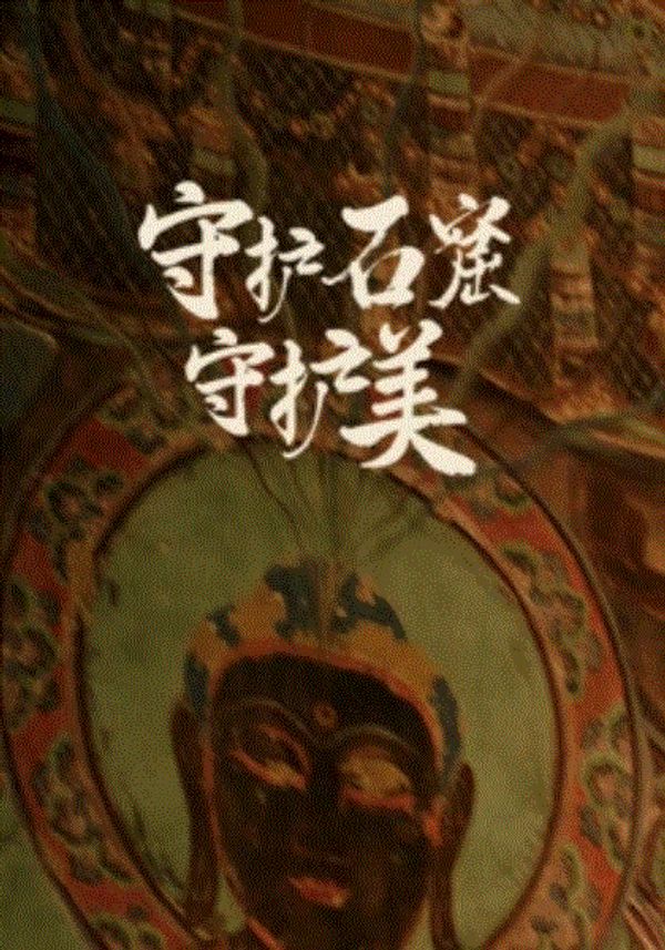 守护石窟守护美封面图