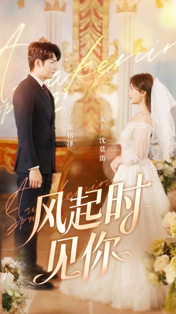 风起时见你封面图