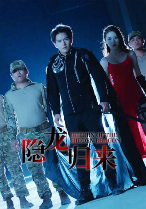 隐龙归来封面图