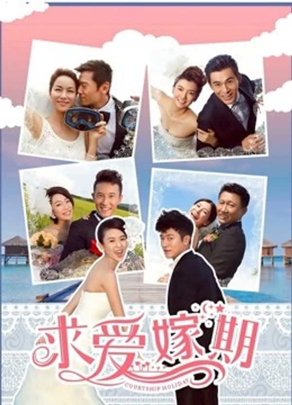 求爱嫁期（2014）封面图