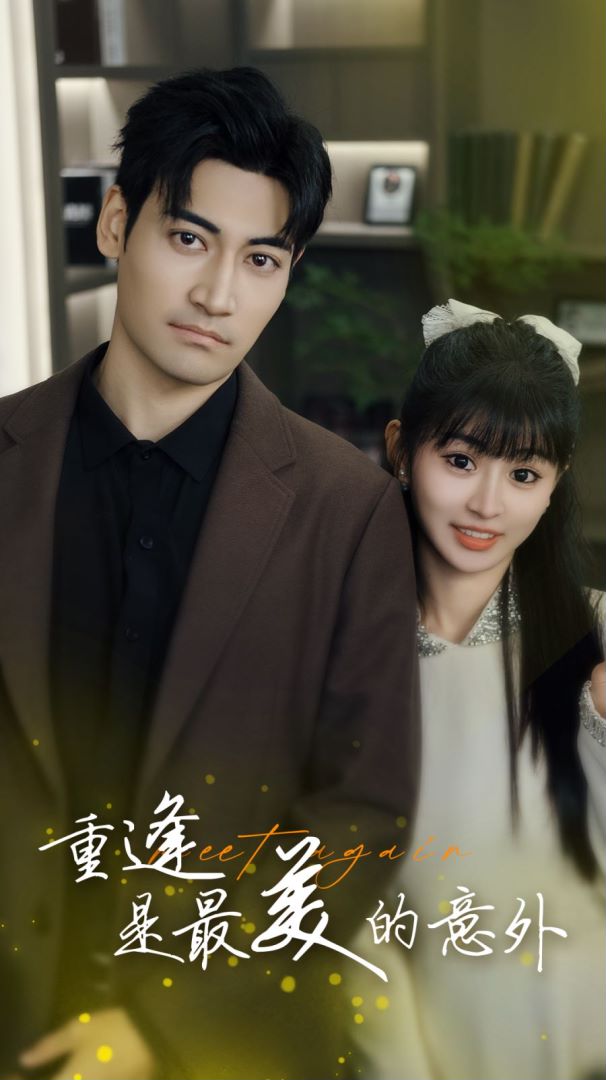 重逢是最美的意外封面图