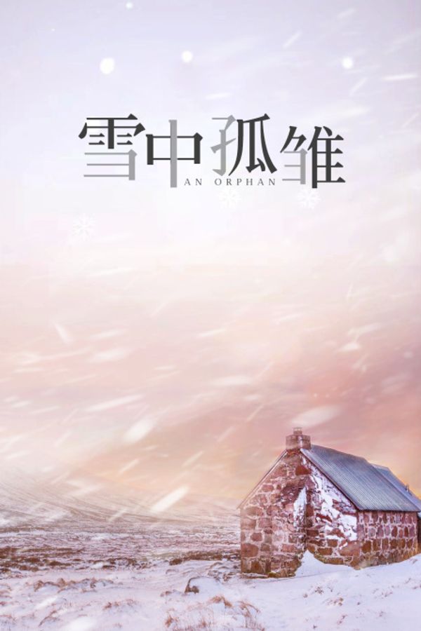雪中孤雏封面图