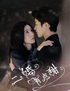 二婚有点甜封面图