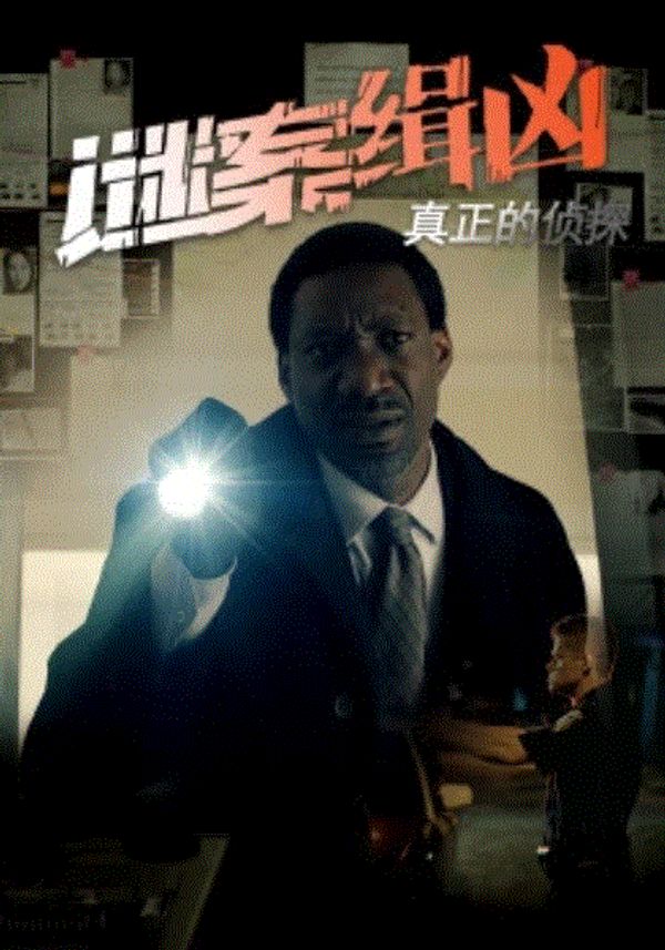 真正的侦探：谜案缉凶封面图