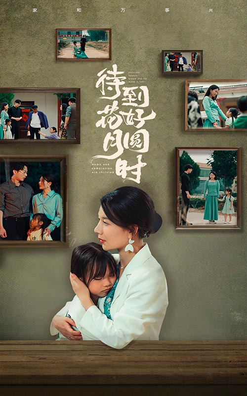 待到花好月圆时封面图