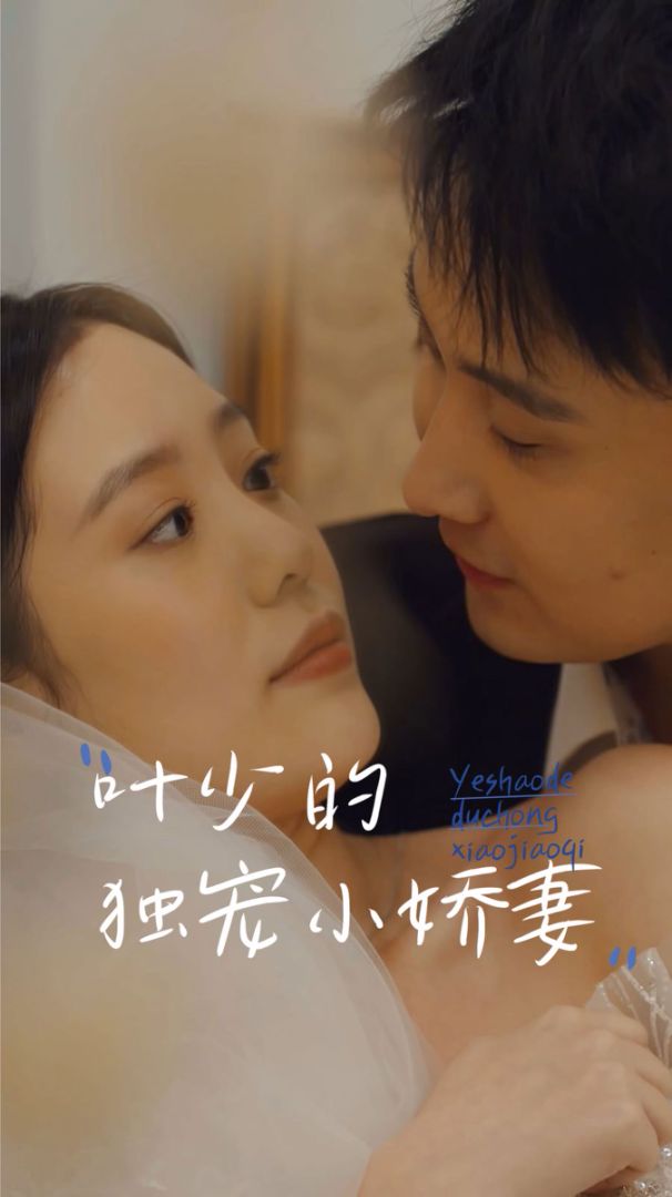 叶少的独宠小娇妻封面图