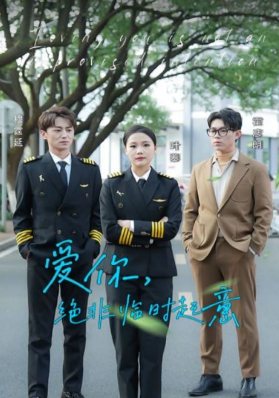 爱你，绝非临时起意封面图