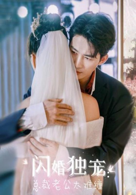 闪婚独宠：总裁老公太难缠封面图