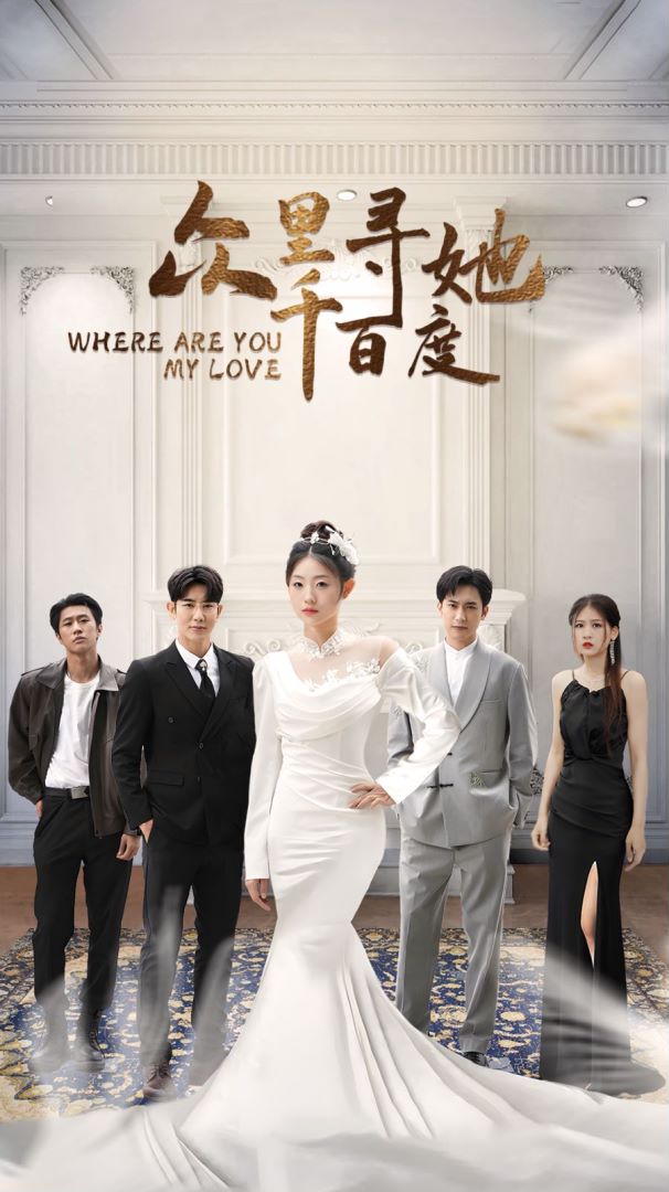 众里寻她千百度封面图