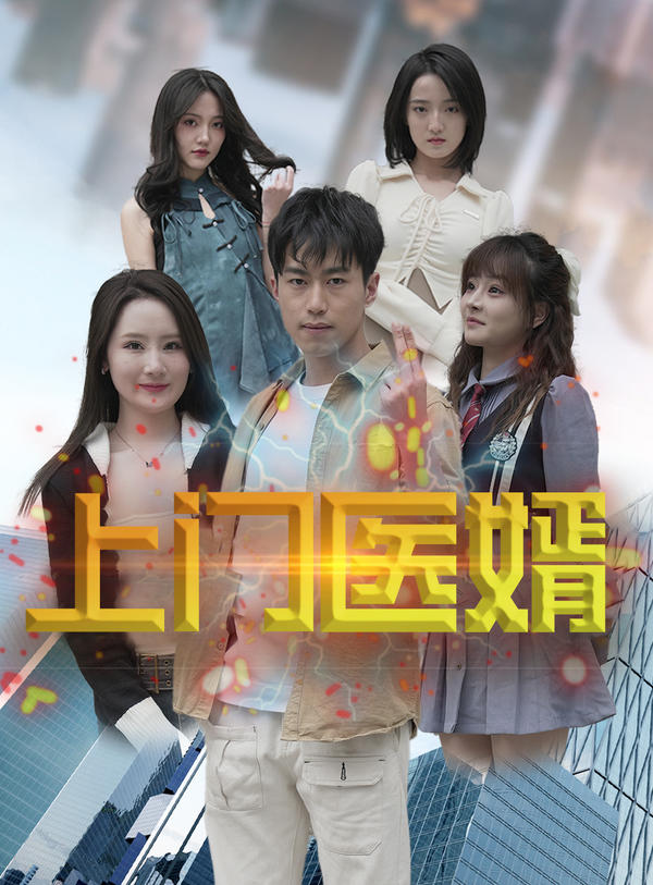 上门医婿封面图