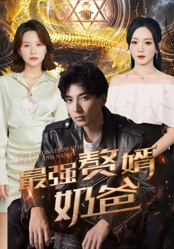 最强赘婿奶爸封面图