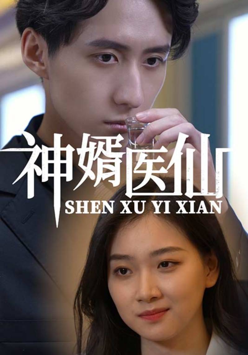 神婿医仙封面图