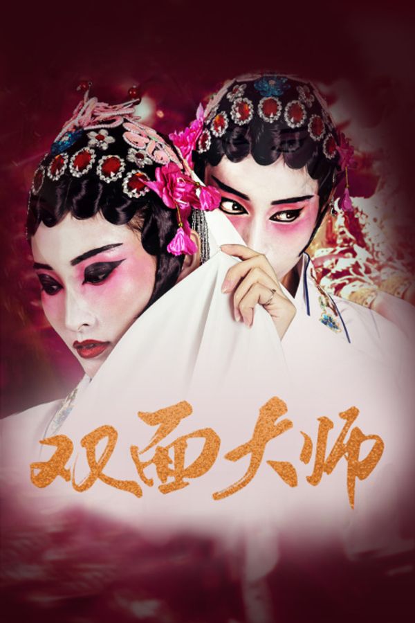 双面大师封面图