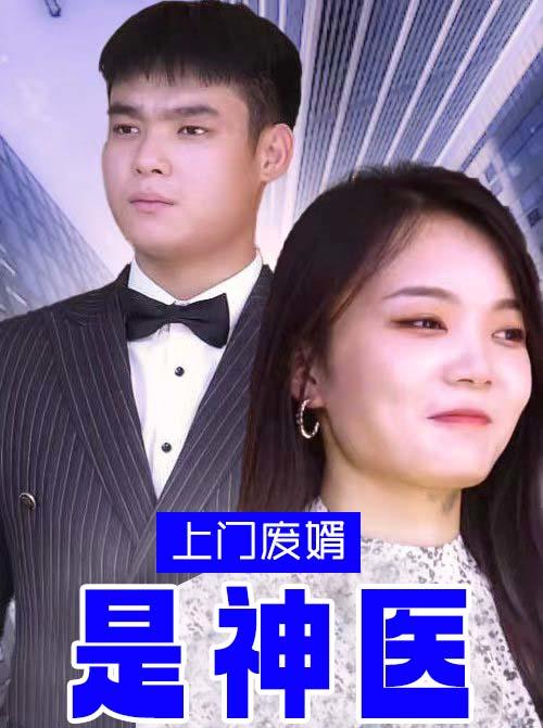 上门废婿是神医封面图