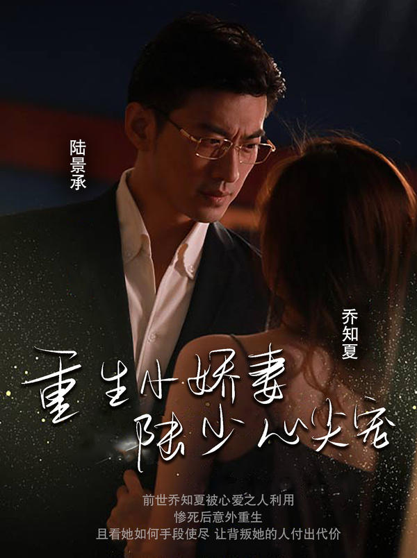 重生小娇妻，陆少心尖宠封面图