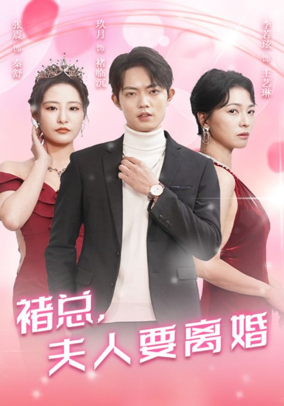 褚总，夫人要离婚封面图