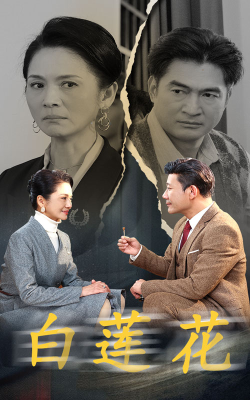 白莲花封面图