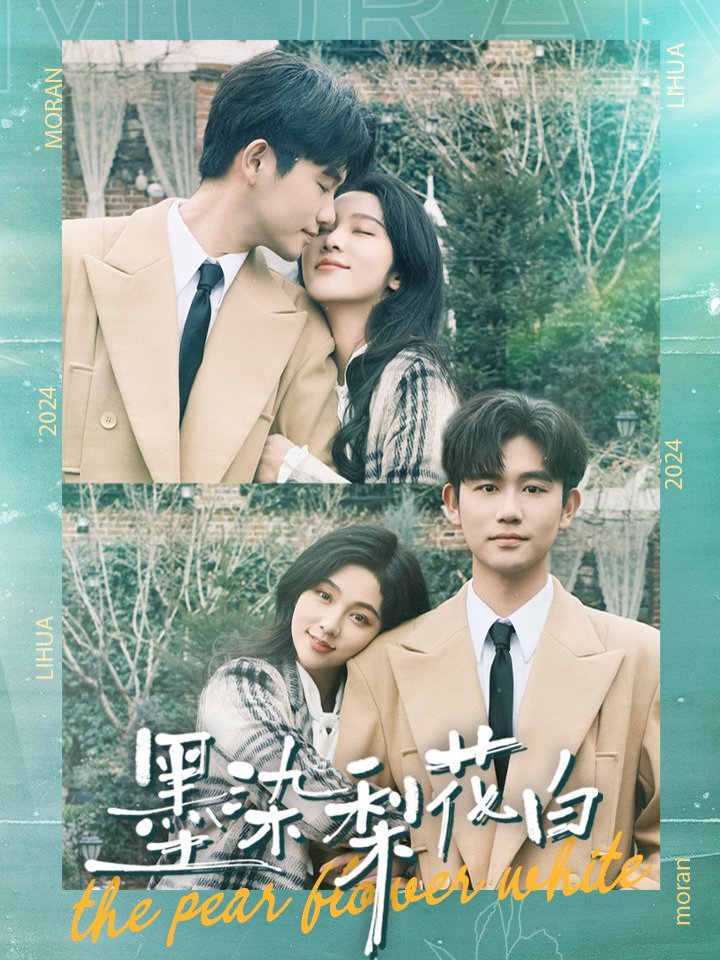 墨染梨花白封面图