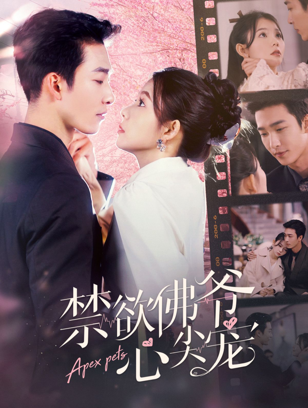 禁欲佛爷心尖宠封面图