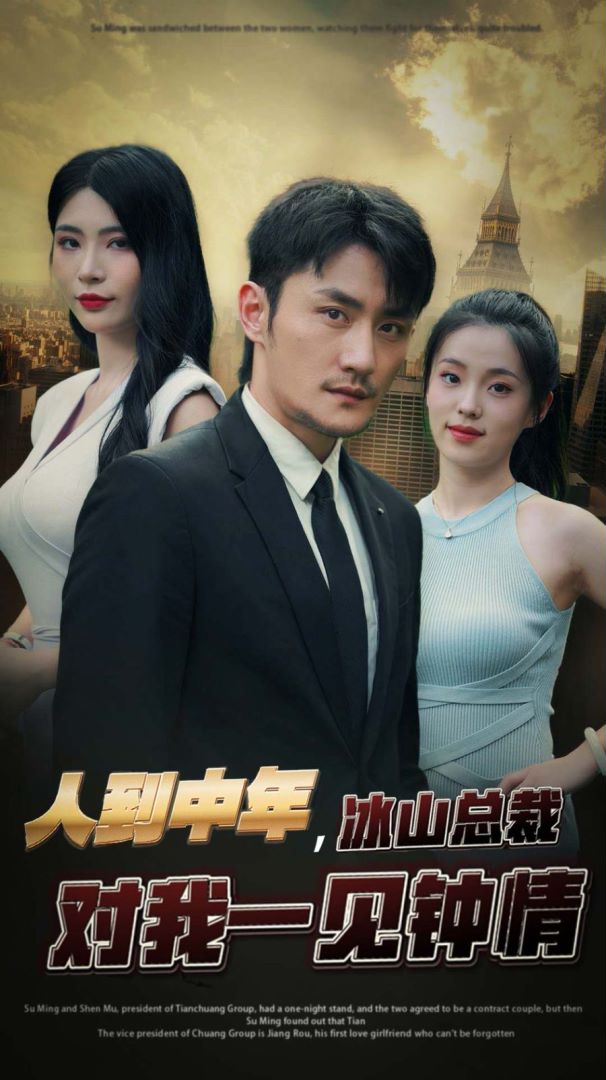 人到中年，冰山总裁对我一见钟情封面图