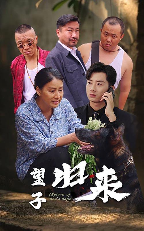 望子归来封面图