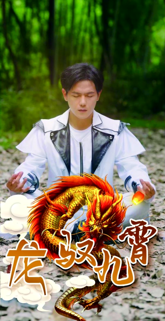 龙驭九霄封面图