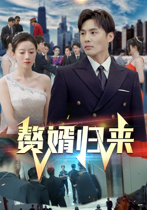 赘婿归来封面图