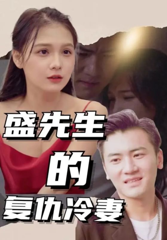盛先生的复仇冷妻封面图