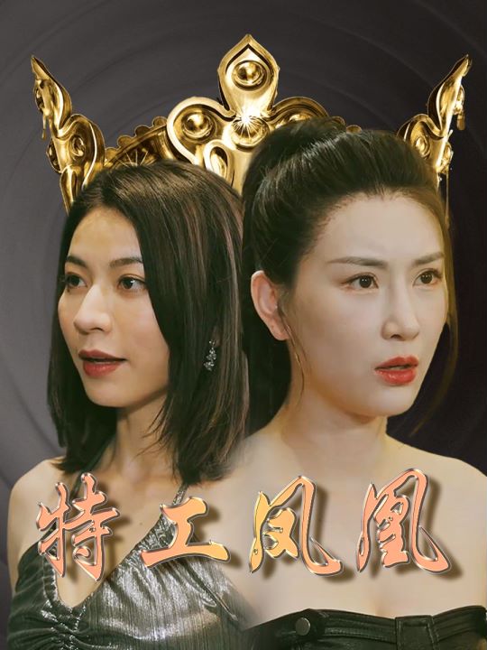 特工凤凰封面图