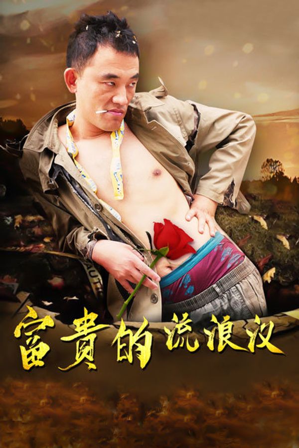 富贵的流浪汉封面图