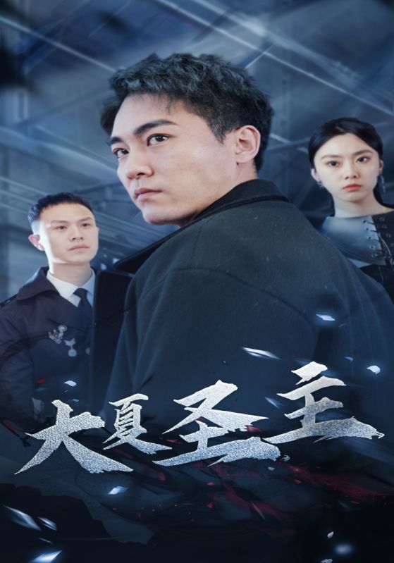 大夏圣主封面图