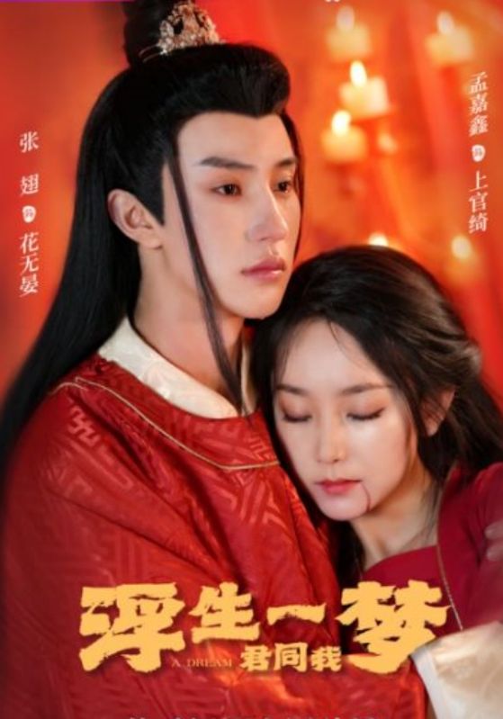 浮生一梦君同我封面图