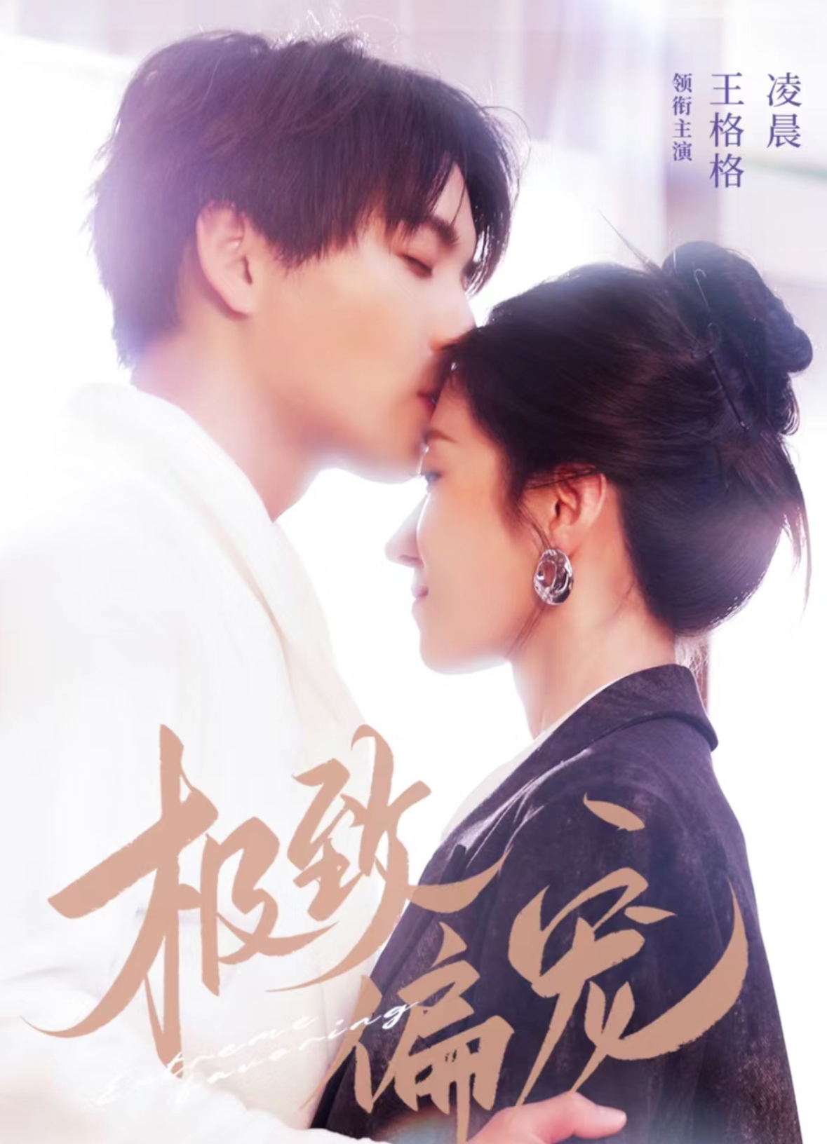 极致偏宠封面图