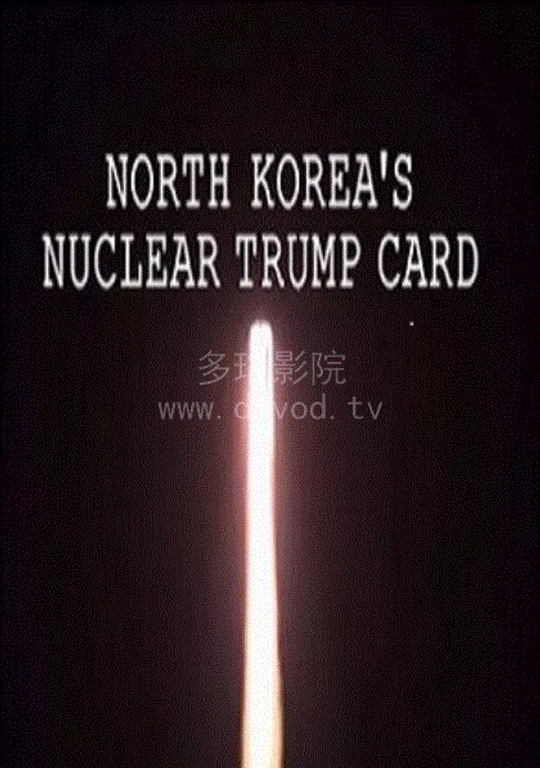 朝鲜核王牌封面图