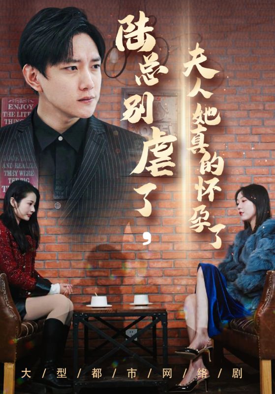 陆总别虐了，夫人她真的怀孕了封面图