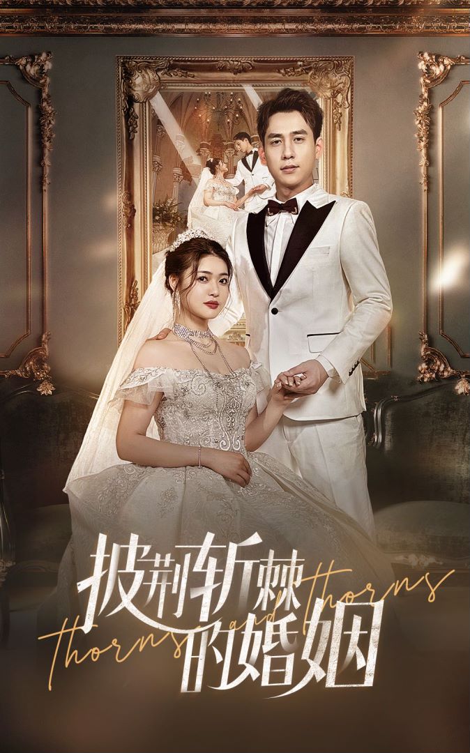 披荆斩棘的婚姻封面图