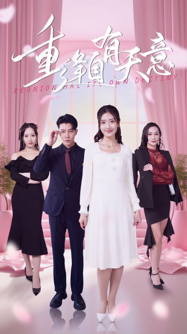 重逢自有天意封面图