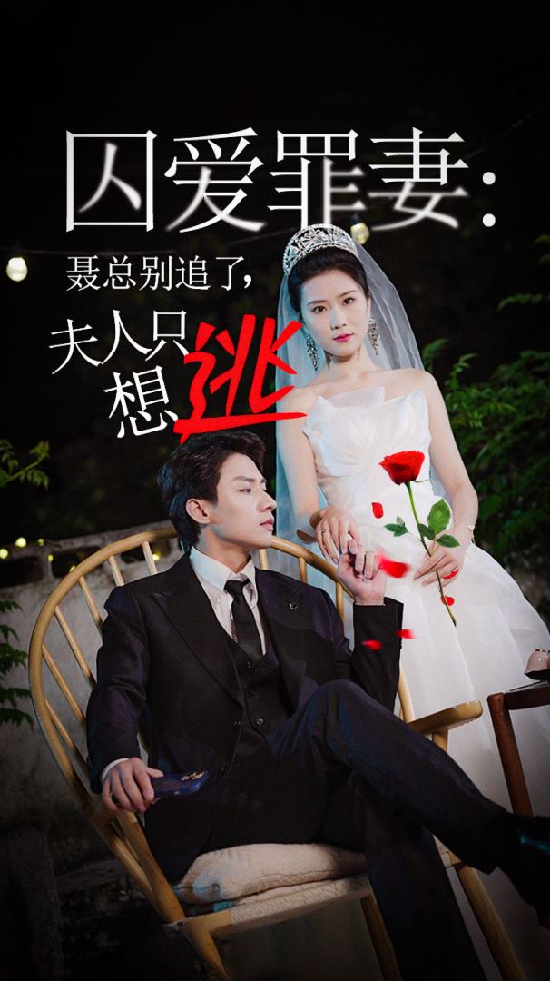 囚爱罪妻聂总别追了夫人只想逃封面图