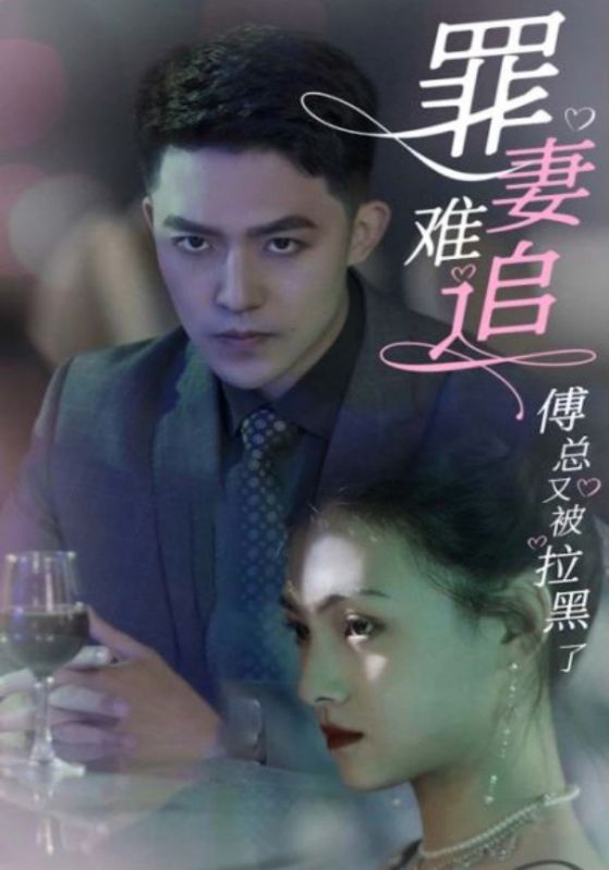 罪妻难追：傅总又被拉黑了封面图