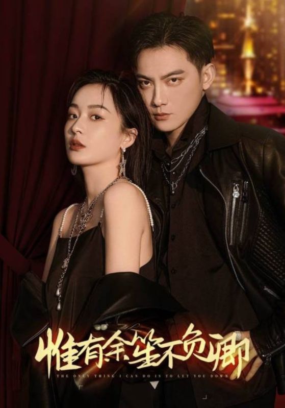 惟有余笙不负卿封面图