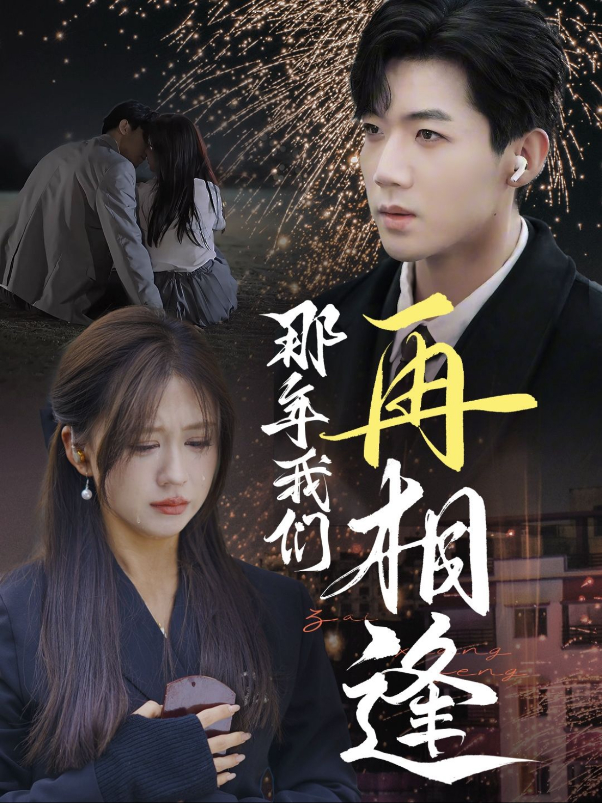 那年我们再相逢封面图